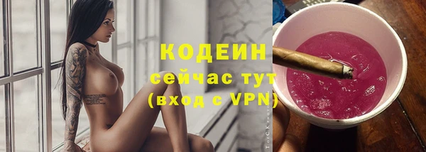 винт Лабытнанги