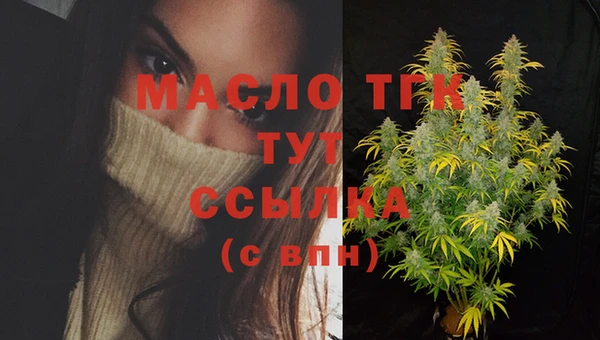 винт Лабытнанги