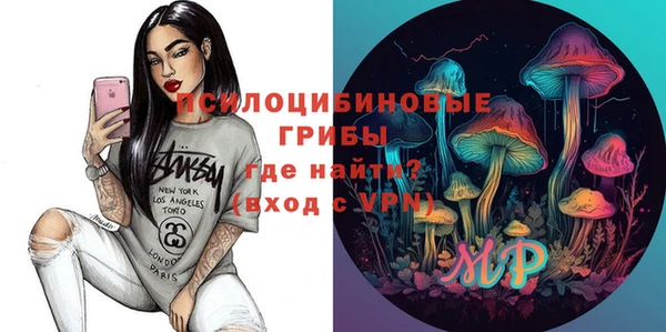 винт Лабытнанги