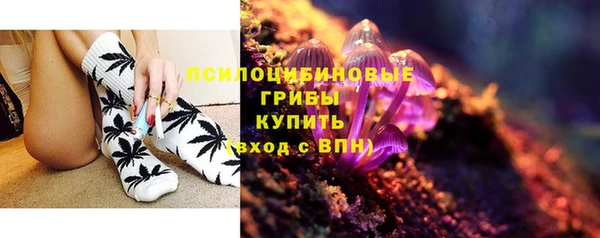 винт Лабытнанги