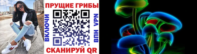 Купить  Пугачёв  Псилоцибиновые грибы Magic Shrooms 